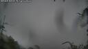 ./images/calvert/fitz-hugh-hecate/20250805/fitz-hugh-hecate20250805_085510M.jpg