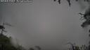 ./images/calvert/fitz-hugh-hecate/20250805/fitz-hugh-hecate20250805_090010M.jpg