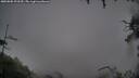./images/calvert/fitz-hugh-hecate/20250805/fitz-hugh-hecate20250805_093510M.jpg