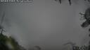 ./images/calvert/fitz-hugh-hecate/20250805/fitz-hugh-hecate20250805_094010M.jpg