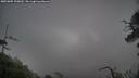 ./images/calvert/fitz-hugh-hecate/20250805/fitz-hugh-hecate20250805_100012M.jpg