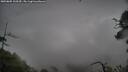 ./images/calvert/fitz-hugh-hecate/20250805/fitz-hugh-hecate20250805_100509M.jpg