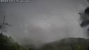 ./images/calvert/fitz-hugh-hecate/20250805/fitz-hugh-hecate20250805_101509M.jpg