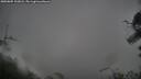 ./images/calvert/fitz-hugh-hecate/20250805/fitz-hugh-hecate20250805_102008M.jpg