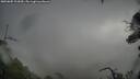 ./images/calvert/fitz-hugh-hecate/20250805/fitz-hugh-hecate20250805_103009M.jpg