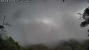 ./images/calvert/fitz-hugh-hecate/20250805/fitz-hugh-hecate20250805_103510M.jpg
