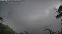 ./images/calvert/fitz-hugh-hecate/20250805/fitz-hugh-hecate20250805_105510M.jpg