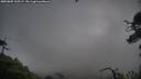 ./images/calvert/fitz-hugh-hecate/20250805/fitz-hugh-hecate20250805_110507M.jpg