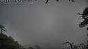 ./images/calvert/fitz-hugh-hecate/20250805/fitz-hugh-hecate20250805_111010M.jpg