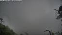 ./images/calvert/fitz-hugh-hecate/20250805/fitz-hugh-hecate20250805_111510M.jpg