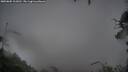 ./images/calvert/fitz-hugh-hecate/20250805/fitz-hugh-hecate20250805_112011M.jpg