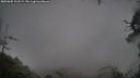 ./images/calvert/fitz-hugh-hecate/20250805/fitz-hugh-hecate20250805_112508M.jpg