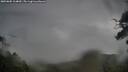 ./images/calvert/fitz-hugh-hecate/20250805/fitz-hugh-hecate20250805_114010M.jpg