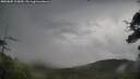 ./images/calvert/fitz-hugh-hecate/20250805/fitz-hugh-hecate20250805_115010M.jpg