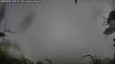 ./images/calvert/fitz-hugh-hecate/20250805/fitz-hugh-hecate20250805_120508M.jpg