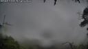 ./images/calvert/fitz-hugh-hecate/20250805/fitz-hugh-hecate20250805_122509M.jpg
