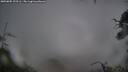./images/calvert/fitz-hugh-hecate/20250805/fitz-hugh-hecate20250805_123505M.jpg