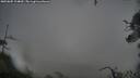 ./images/calvert/fitz-hugh-hecate/20250805/fitz-hugh-hecate20250805_124010M.jpg