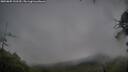 ./images/calvert/fitz-hugh-hecate/20250805/fitz-hugh-hecate20250805_132510M.jpg