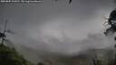 ./images/calvert/fitz-hugh-hecate/20250805/fitz-hugh-hecate20250805_133511M.jpg