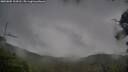 ./images/calvert/fitz-hugh-hecate/20250805/fitz-hugh-hecate20250805_134511M.jpg