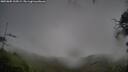 ./images/calvert/fitz-hugh-hecate/20250805/fitz-hugh-hecate20250805_135009M.jpg