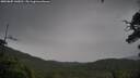 ./images/calvert/fitz-hugh-hecate/20250805/fitz-hugh-hecate20250805_143010M.jpg