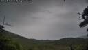 ./images/calvert/fitz-hugh-hecate/20250805/fitz-hugh-hecate20250805_143507M.jpg