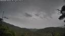 ./images/calvert/fitz-hugh-hecate/20250805/fitz-hugh-hecate20250805_151011M.jpg