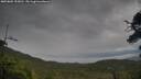 ./images/calvert/fitz-hugh-hecate/20250805/fitz-hugh-hecate20250805_153011M.jpg