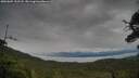 ./images/calvert/fitz-hugh-hecate/20250805/fitz-hugh-hecate20250805_153508M.jpg