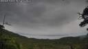 ./images/calvert/fitz-hugh-hecate/20250805/fitz-hugh-hecate20250805_154512M.jpg