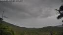 ./images/calvert/fitz-hugh-hecate/20250805/fitz-hugh-hecate20250805_155010M.jpg