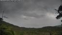 ./images/calvert/fitz-hugh-hecate/20250805/fitz-hugh-hecate20250805_155506M.jpg