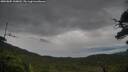 ./images/calvert/fitz-hugh-hecate/20250805/fitz-hugh-hecate20250805_160013M.jpg