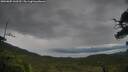 ./images/calvert/fitz-hugh-hecate/20250805/fitz-hugh-hecate20250805_160510M.jpg