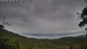 ./images/calvert/fitz-hugh-hecate/20250805/fitz-hugh-hecate20250805_161510M.jpg