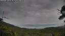 ./images/calvert/fitz-hugh-hecate/20250805/fitz-hugh-hecate20250805_162008M.jpg