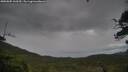 ./images/calvert/fitz-hugh-hecate/20250805/fitz-hugh-hecate20250805_163510M.jpg