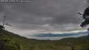 ./images/calvert/fitz-hugh-hecate/20250805/fitz-hugh-hecate20250805_164510M.jpg
