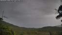 ./images/calvert/fitz-hugh-hecate/20250805/fitz-hugh-hecate20250805_172010M.jpg