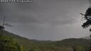 ./images/calvert/fitz-hugh-hecate/20250805/fitz-hugh-hecate20250805_172509M.jpg