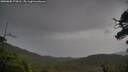 ./images/calvert/fitz-hugh-hecate/20250805/fitz-hugh-hecate20250805_174511M.jpg
