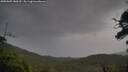 ./images/calvert/fitz-hugh-hecate/20250805/fitz-hugh-hecate20250805_180510M.jpg