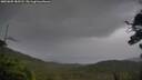 ./images/calvert/fitz-hugh-hecate/20250805/fitz-hugh-hecate20250805_183511M.jpg