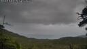 ./images/calvert/fitz-hugh-hecate/20250805/fitz-hugh-hecate20250805_184510M.jpg