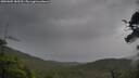 ./images/calvert/fitz-hugh-hecate/20250805/fitz-hugh-hecate20250805_185510M.jpg