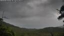 ./images/calvert/fitz-hugh-hecate/20250805/fitz-hugh-hecate20250805_191010M.jpg