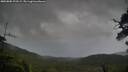 ./images/calvert/fitz-hugh-hecate/20250805/fitz-hugh-hecate20250805_193509M.jpg