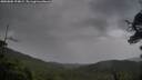 ./images/calvert/fitz-hugh-hecate/20250805/fitz-hugh-hecate20250805_194009M.jpg